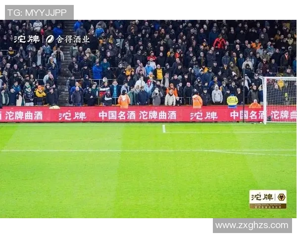 南京排球队实力飙升创历史新高引发全国关注与热议