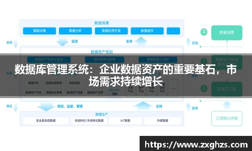数据库管理系统：企业数据资产的重要基石，市场需求持续增长